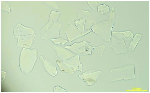 企业微信截图_20250603175809